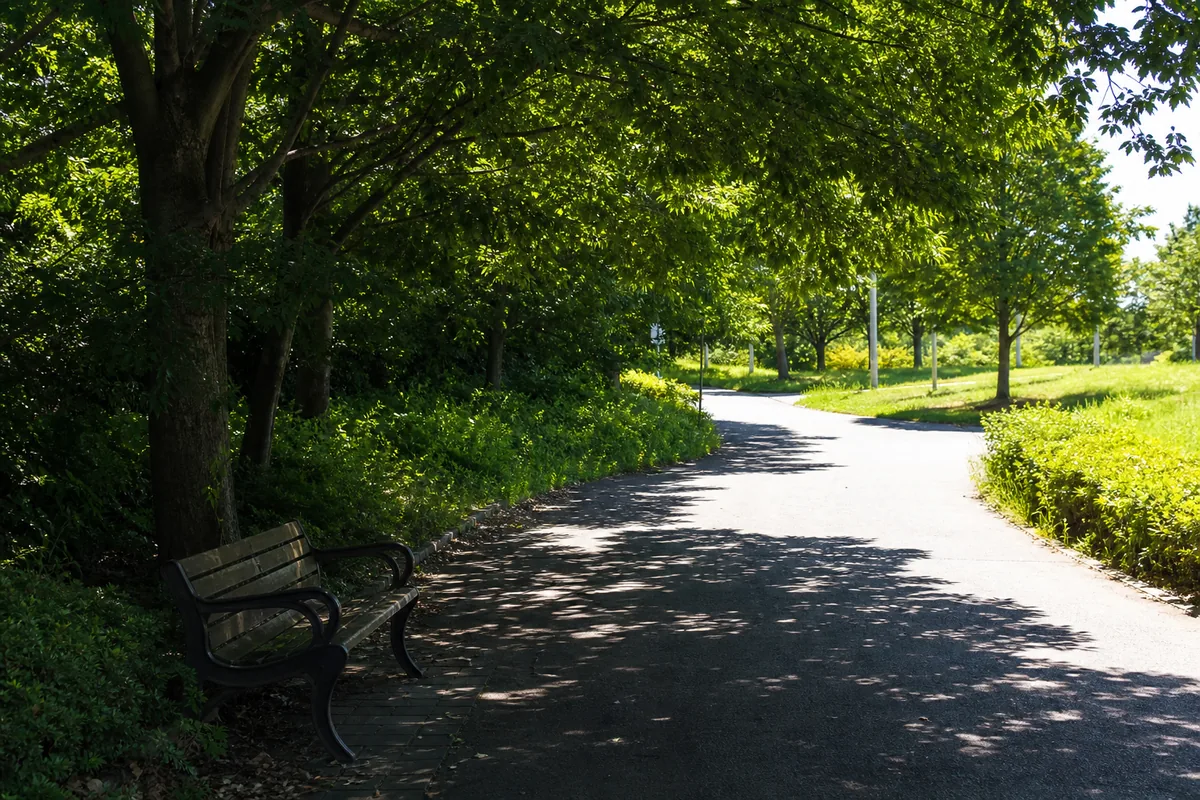 強い日差しを避けて木陰を通れる夏の公園